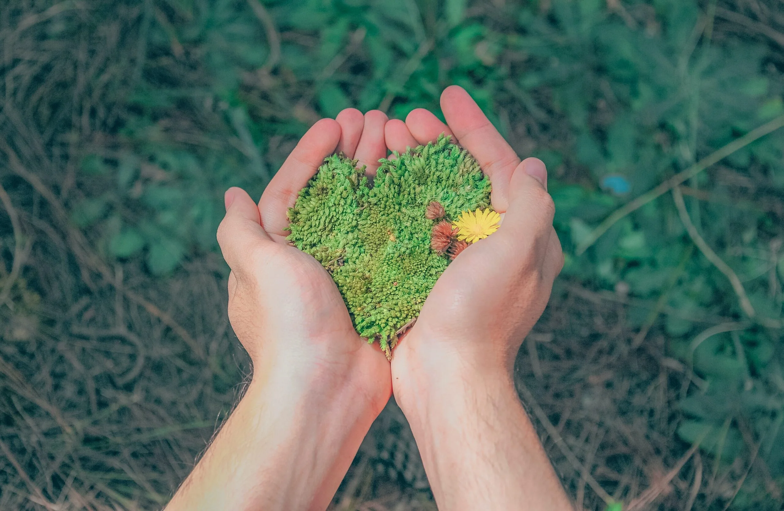 Doações – Uma boa ação que faz a diferença.