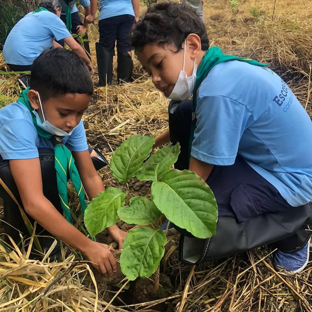 Futuro Sustentável: Ação Local, Impacto Global!